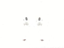 in ear apple airpods 2 gen