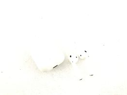 in ear apple airpods 2 gen