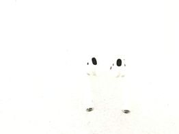 in ear apple airpods 2 gen