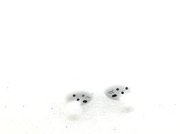 in ear samsung galaxy buds 2 sm-r177