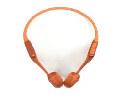 in ear shokz openrun pro 2