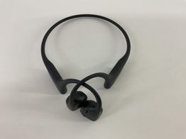 in ear shokz openrun pro 2