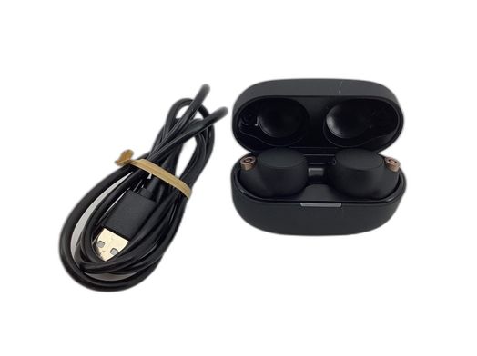 in ear sony wf-1000xm4