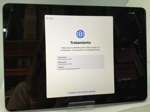 ipad apple ipad (7 generacion) (wi-fi) (a2197) (10.2) 32gb