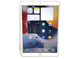 ipad apple ipad air (3 generacion) (wi-fi+cellular) (a2123) (a2153) 256gb