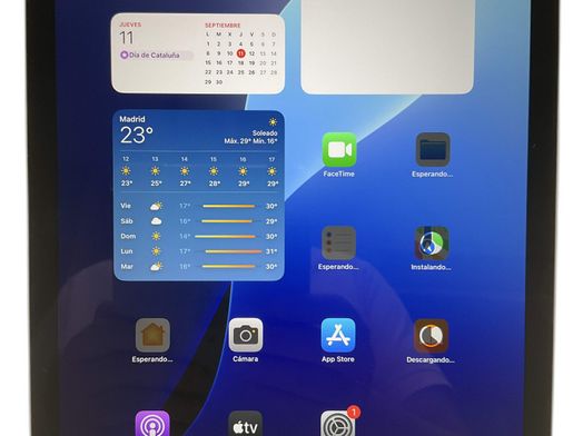 ipad apple ipad air (4 generacion) (wi-fi) (a2316) (10.9) 64gb