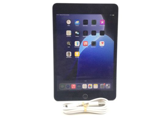 ipad apple ipad mini (5 generacion) (wi-fi) (a2133) 256gb