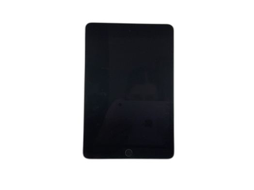 ipad apple ipad mini (5 generacion) (wi-fi) (a2133) 256gb