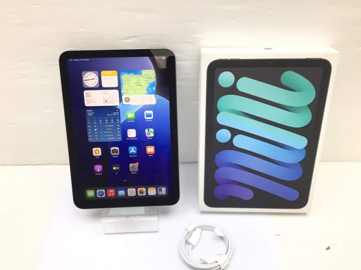 ipad apple ipad mini (wi-fi) (a2993) 256gb (8.3) (7 generacion)