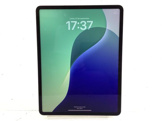 ipad apple ipad pro (wi-fi+5g) (a2437) (a2764) (a2766) 1tb (12,9) (6th generacion)