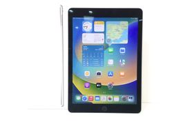 ipad apple ipad pro (wi-fi+4g) (a1674) 256gb (9