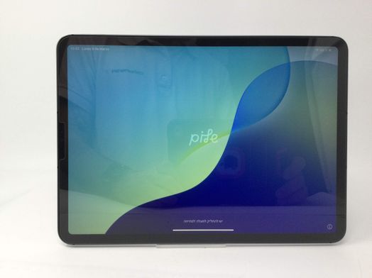ipad apple ipad pro (wi-fi+4g) (a1895) 128gb (11,0) (3rd generation)