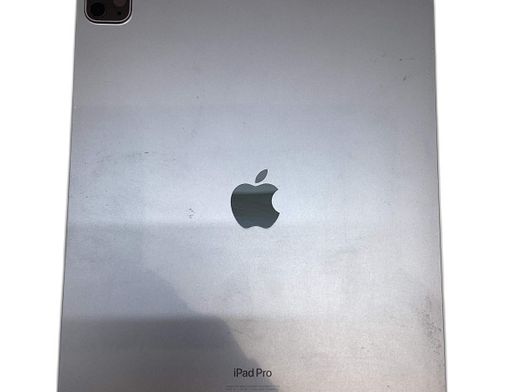 ipad apple ipad pro (wi-fi+5g) (a2437) (a2764) (a2766) 128gb (12,9) (6th generacion)