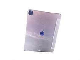 Ipad Apple Ipad Pro (wi-fi+5g) (a2437) (a2764) (a2766) 256gb (12,9) (6th Generacion)