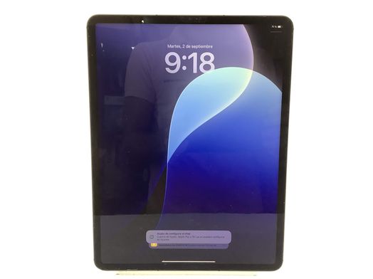 ipad apple ipad pro (wi-fi+5g) (a2461) (a2462) (a2379) 256gb (12,9) (5th generacion)
