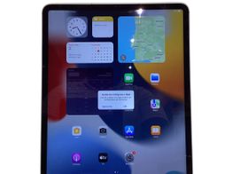 ipad apple ipad pro (wi-fi+5g) (a2461) (a2462) (a2379) 2tb (12