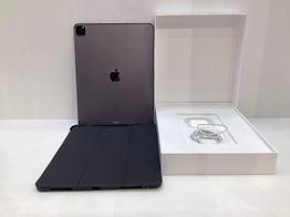 ipad apple ipad pro (wi-fi+5g) (a2461) (a2462) (a2379) 2tb (12