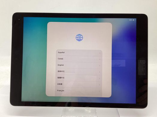 ipad apple ipad (wi-fi+5g) (a2604) 256gb (10.2) (9 generacion)