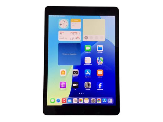 ipad apple ipad (wi-fi+5g) (a2604) 256gb (10.2) (9 generacion)