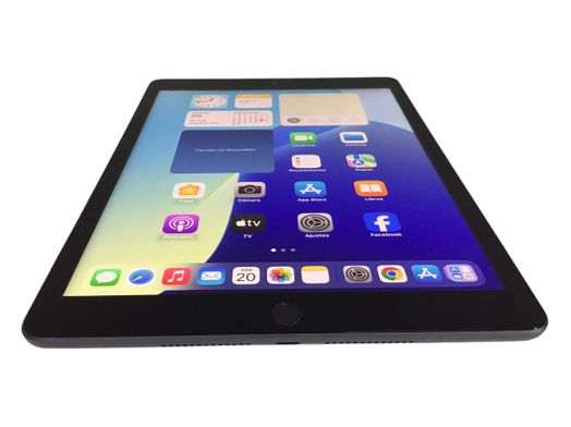 ipad apple ipad (wi-fi+5g) (a2604) 256gb (10.2) (9 generacion)