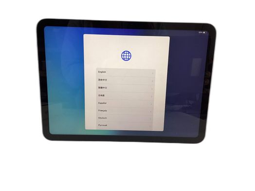 ipad apple ipad (wi-fi+5g) (a3355) (a3356) 128gb (10.9) (11 generacion)