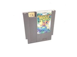 the adventures of bayou billy nes