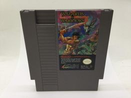 wizards & warriors