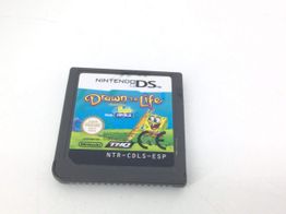 drawn to life nds