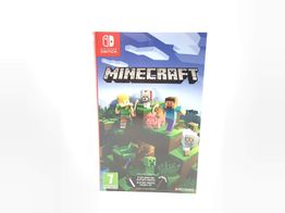 minecraft n-switch