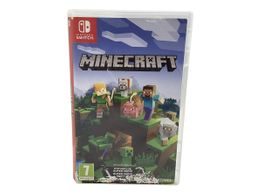minecraft n-switch