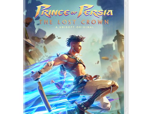 prince of persia the lost crown n-switch