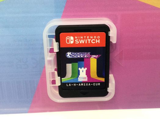 sociable soccer 24 n-switch