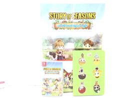 story of seasons a wonderful life n-switch
