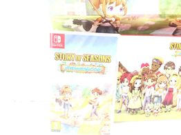 story of seasons a wonderful life n-switch