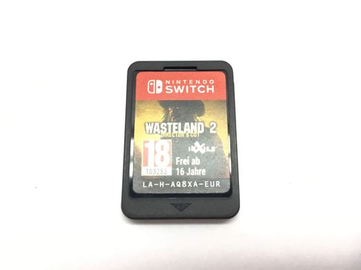 wasteland 2 directors cut n-switch