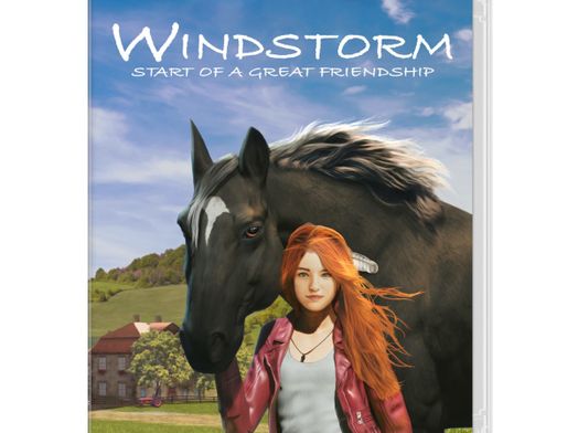 windstorm start of a great friendship n-switch
