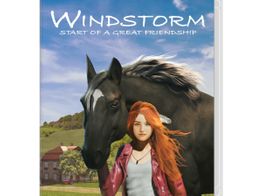 windstorm start of a great friendship n-switch