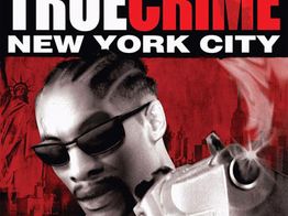 true crime new york city ps2