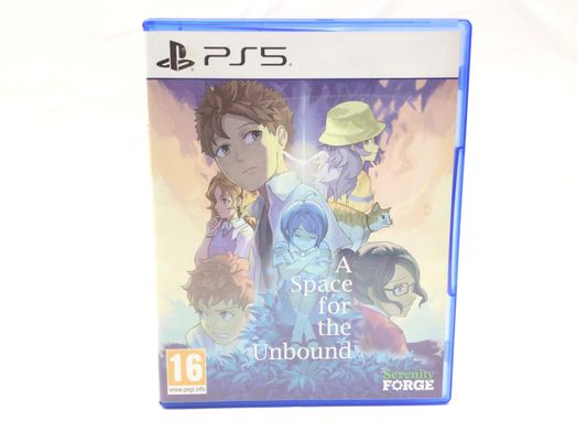 a space for the unbound ps5