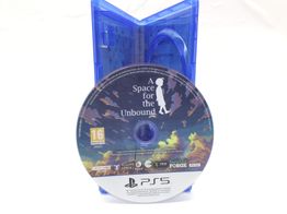 a space for the unbound ps5