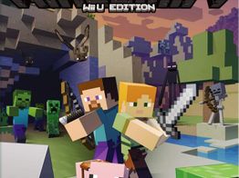 minecraft wii u edition wiiu