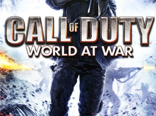 call of duty world at war wii