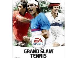 grand slam tennis wii
