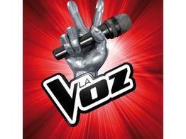 la voz wii