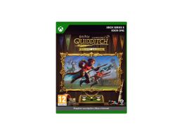 harry potter: quidditch champions