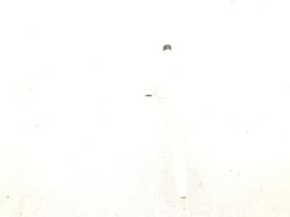 lapiz digital apple a1603