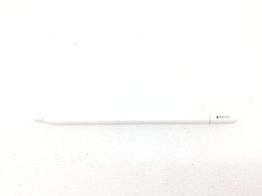 lapiz digital apple usb c