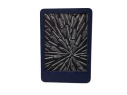 libro electronico kindle c2v2l3