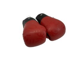 luvas decathlon boxing gloves 100 tam 6