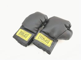 luvas everlast sem
